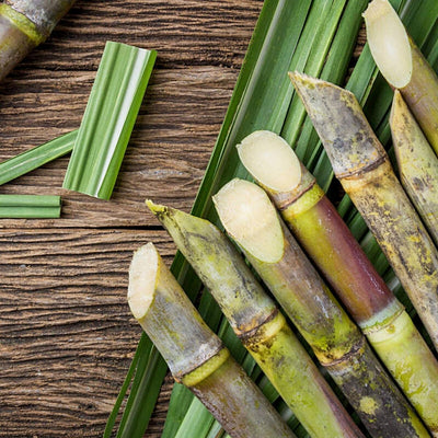 What’s the Best Time to Drink Sugarcane Juice?